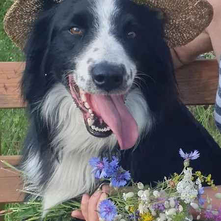 Le Moulin De La Martiniere Écrammeville