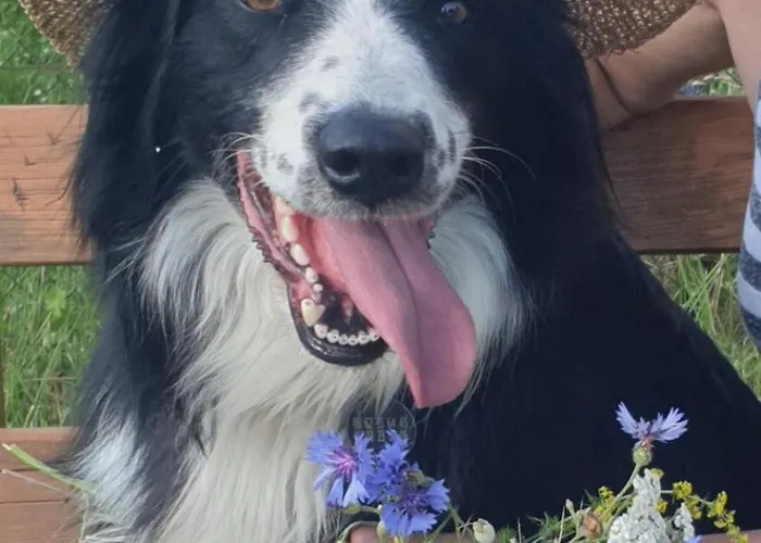 Le Moulin De La Martiniere Écrammeville